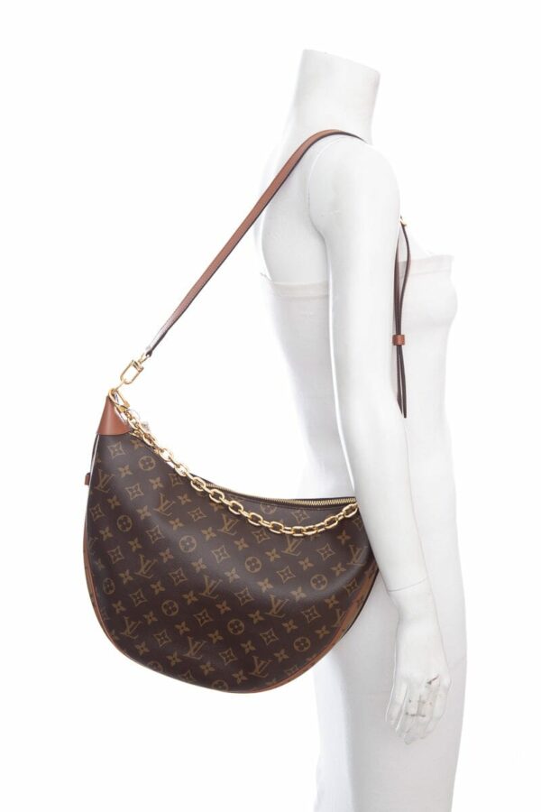 LV Brown Reverse Monogram Hobo