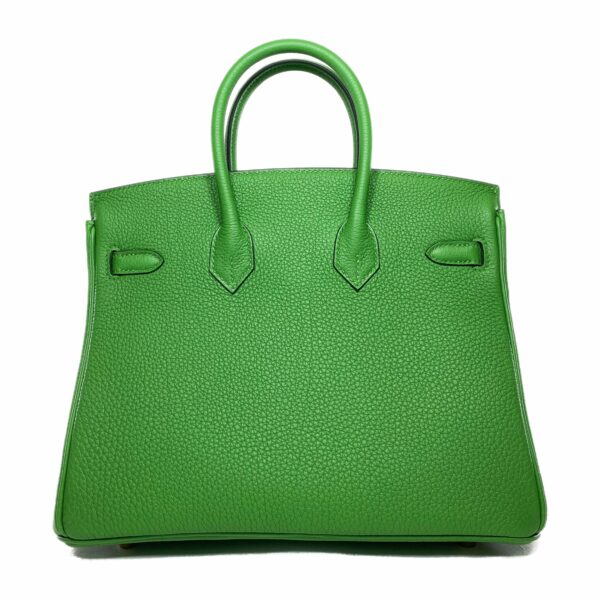 HM Birkin 25 Vert Yucca Togo Gold Hardware - Image 2