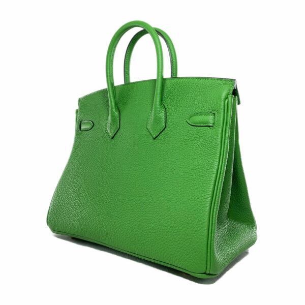 HM Birkin 25 Vert Yucca Togo Gold Hardware - Image 4