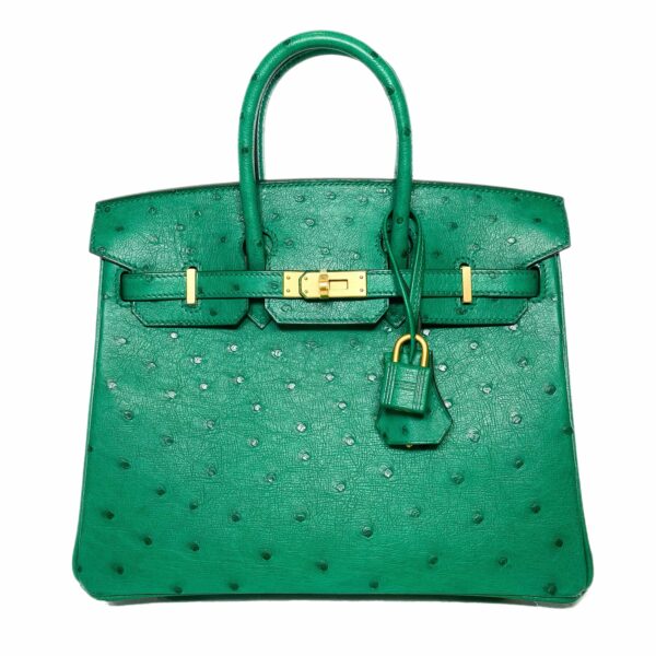 HM Birkin 25 Malachite Ostrich Special Order Horseshoe Stamp Brushed Gold Hardware