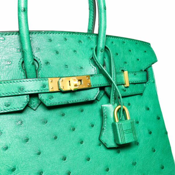 HM Birkin 25 Malachite Ostrich Special Order Horseshoe Stamp Brushed Gold Hardware - Image 11