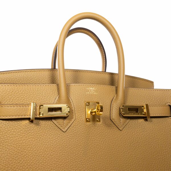 HM Biscuit Birkin 25 Togo GHW - Image 5