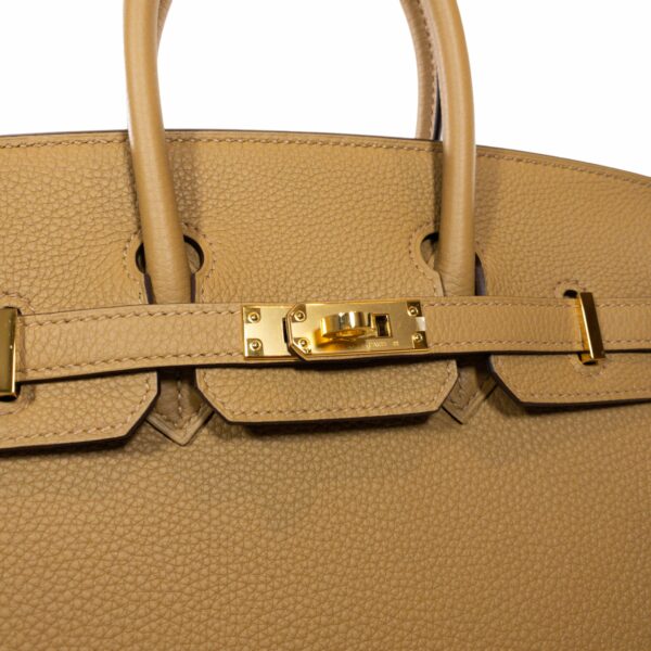 HM Biscuit Birkin 25 Togo GHW - Image 10